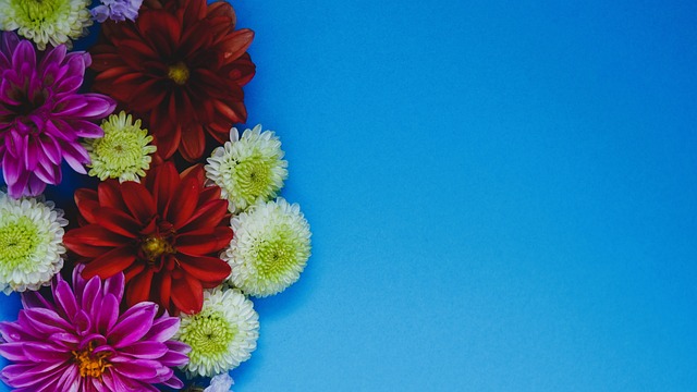 于球场上的 于球场上的