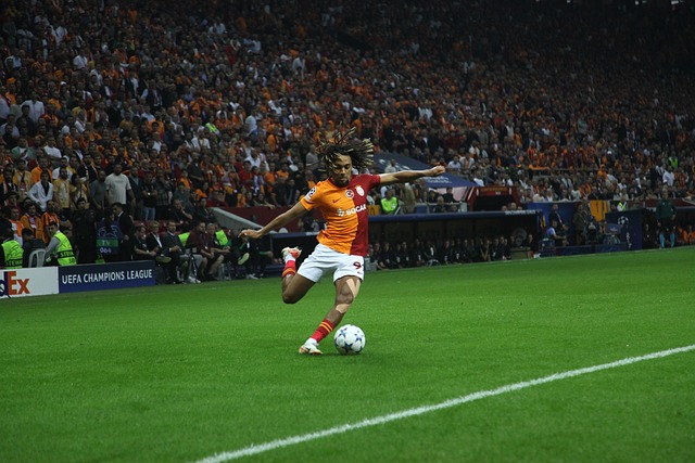 看台上迴盪 看台上迴盪