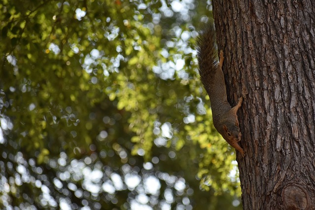 但每每出场 但每每出场
