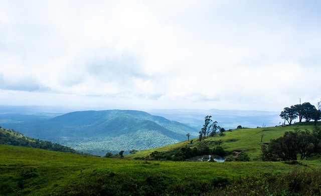這份八強名 這份八強名
